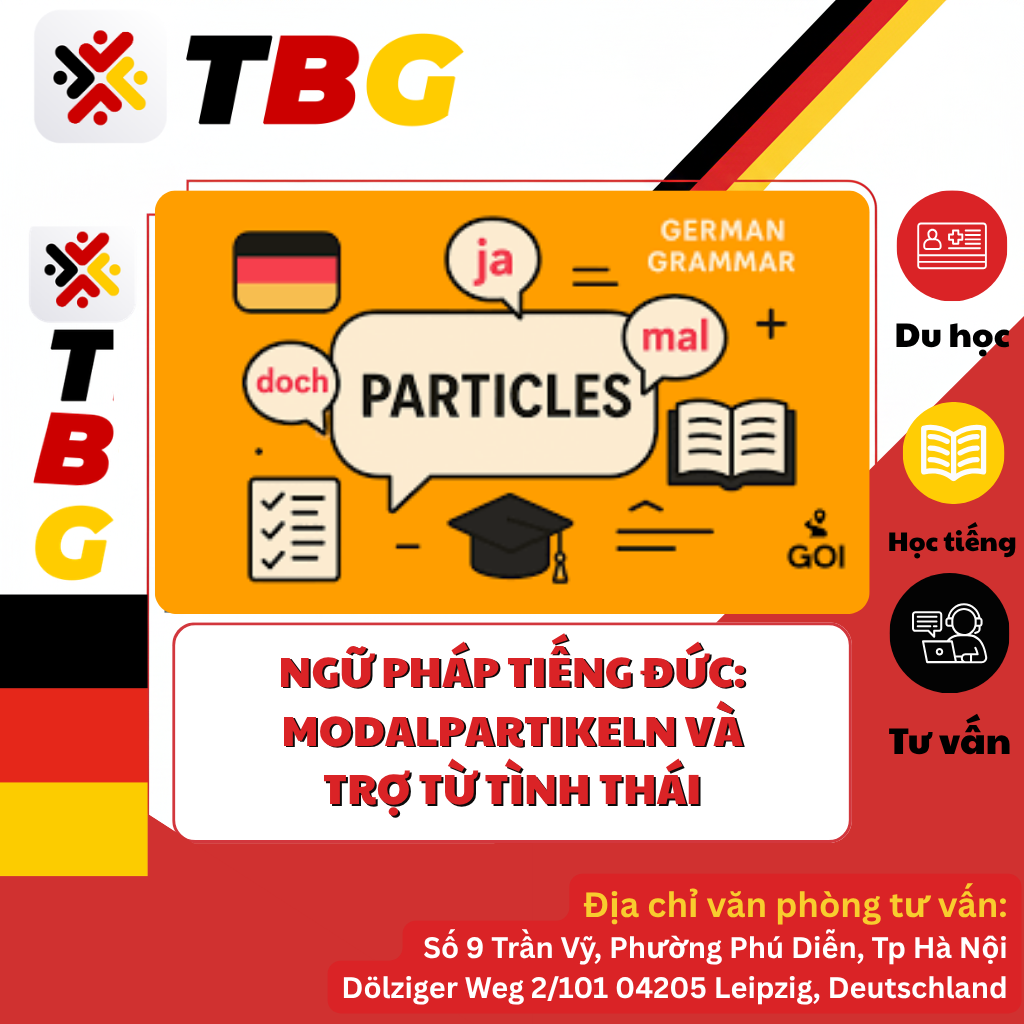 Duc ngu TBG 1 9