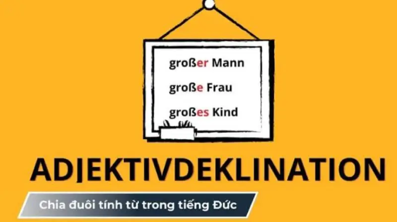 Các yếu tố quyết định cách chia đuôi tính từ tiếng Đức